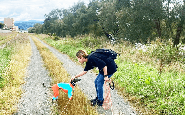 愛犬と散歩中